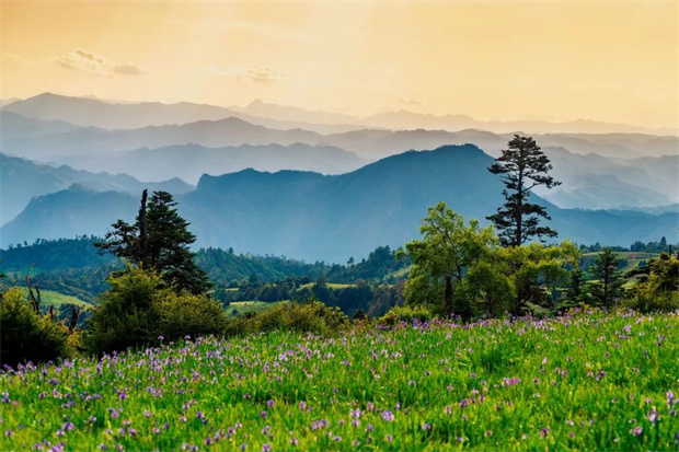 云南旅游,云南旅行社,云南團(tuán)建公司,云南策劃公司,云南會(huì)議會(huì)展,云南策劃執(zhí)行,麗江旅游,麗江旅行社,麗江團(tuán)建公司,麗江策劃公司：七月格拉丹，云海之外許你一片浪漫鳶尾